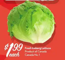 Longo's Fresh Iceberg Lettuce offer
