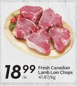 Sobeys Fresh Canadian Lamb Loin Chops offer