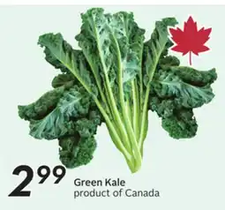 Sobeys Green Kale offer