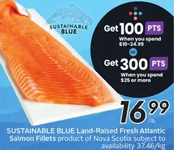 Sobeys Land-Raised Fresh Atlantic Salmon Fillets offer