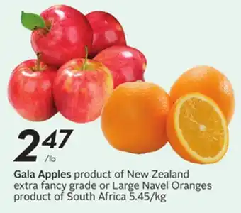 Sobeys Gala Apples offer