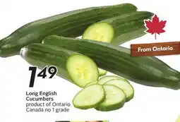 Sobeys Long English Cucumbers offer