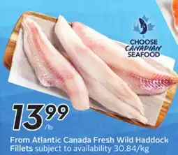 Sobeys From Atlantic Canada Fresh Wild Haddock Fillets offer
