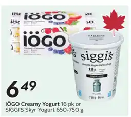 Sobeys Creamy Yogurt 16 pk or Skyr Yogurt offer