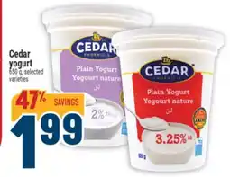 Marché Adonis Cedar yogurt offer