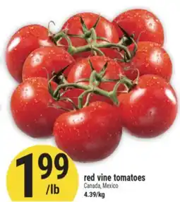 Marché Adonis RED VINE TOMATOES offer