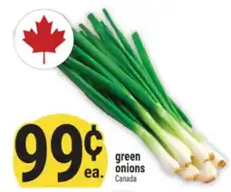Marché Adonis GREEN ONIONS offer