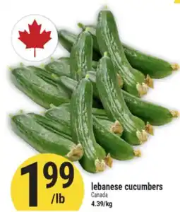 Marché Adonis lebanese cucumbers offer