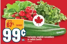 Marché Adonis CORIANDER-ENGLISH CUCUMBERS OR RADISH BUNCH offer