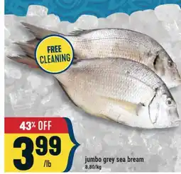 Marché Adonis JUMBO GREY SEA BREAM offer