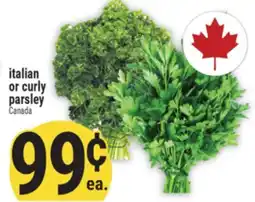Marché Adonis ITALIAN OR CURLY PARSLEY offer