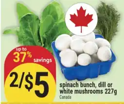 Marché Adonis SPINACH BUNCH, DILL OR WHITE MUSHROOMS offer