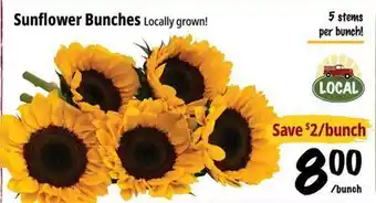 Farm Boy Sunflower Bunches offer