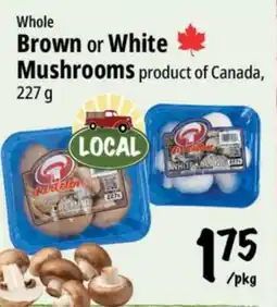Farm Boy Whole Brown or White Mushrooms offer