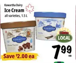 Farm Boy Kawartha Dairy Ice Cream offer