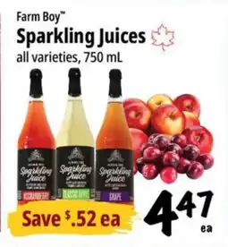 Farm Boy Farm Boy Sparkling Juices offer