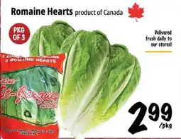 Farm Boy Romaine Hearts offer