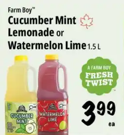 Farm Boy Farm Boy Cucumber Mint Lemonade or Watermelon Lime offer