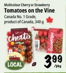 Farm Boy Multicolour Cherry or Strawberry Tomatoes on the Vine offer