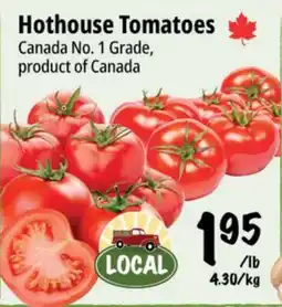 Farm Boy Hothouse Tomatoes offer