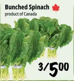 Farm Boy Bunched Spinach offer