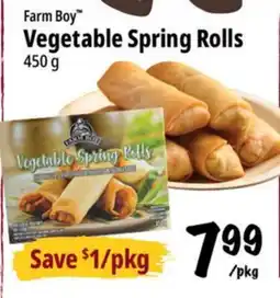 Farm Boy Farm Boy Vegetable Spring Rolls offer