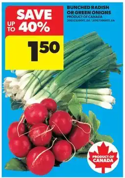 Real Canadian Superstore BUNCHED RADISH OR GREEN ONIONS offer