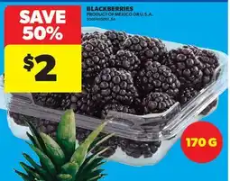 Real Canadian Superstore BLACKBERRIES offer