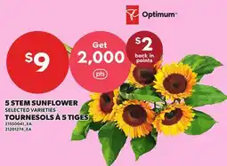 Independent Grocer 5 STEM SUNFLOWER offer