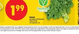 No Frills KALE offer