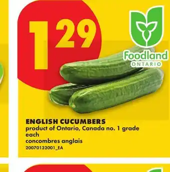 No Frills ENGLISH CUCUMBERS, each offer