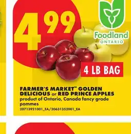 No Frills FARMER'S MARKET GOLDEN DELICIOUS or RED PRINCE APPLES, 4 LB BAG offer