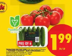 No Frills TOMATOES ON THE VINE OR FARMER'S MARKET MINI CUCUMBERS offer
