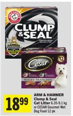 Foodland Clump & Seal Cat Litter offer