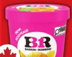 Food Basics HÄAGEN-DAZS OR BASKIN-ROBBINS ICE CREAM offer