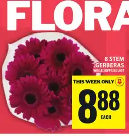 Food Basics 8 STEM GERBERAS offer