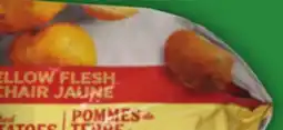 Food Basics YELLOW FLESH, WHITE OR RED POTATOES 5 LB RUSSET POTATOES GRADE 5 LB offer