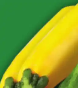 Food Basics GREEN, GRAY OR YELLOW ZUCCHINI offer