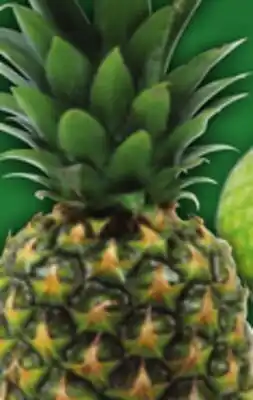 Food Basics TROPICAL GOLD PINEAPPLE offer