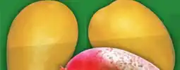 Food Basics MANGOES HONEY ATAUPE AND RED MANGOS offer