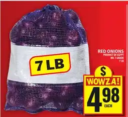 Food Basics RED ONIONS offer