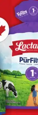 Food Basics LACTANTIA PURFILTRE MILK offer