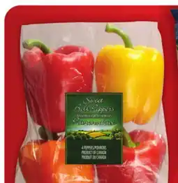 Food Basics ROMAINE HEARTS OR SWEET ASSORTED PEPPERS offer