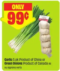 FreshCo Garlic 5 pk Product of China or Green Onions Product of Canada All offer