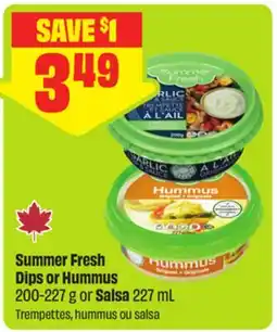 FreshCo Summer Fresh Dips or Hummus 200-227 g or Salsa 227 mL offer