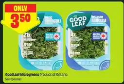 FreshCo GoodLeaf Microgreens Product of Ontario offer