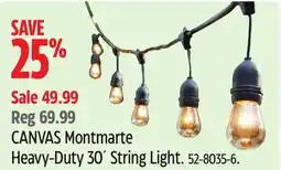 Canadian Tire CANVAS Montmartre Heavy-Duty 30` String Light offer