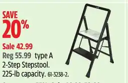 Canadian Tire type A 2-Step Stepstool offer