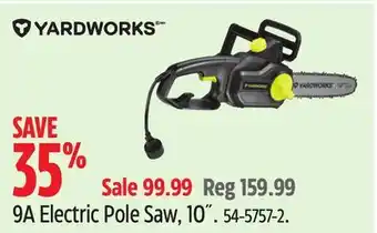 Canadian Tire Yardworks 9A Electric Pole Saw, 10 offer