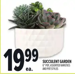 Metro SUCCULENT GARDEN offer